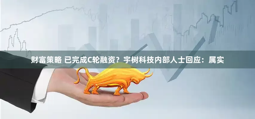 财富策略 已完成C轮融资？宇树科技内部人士回应：属实