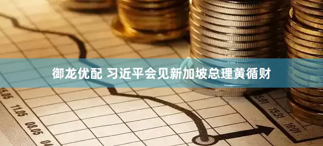 御龙优配 习近平会见新加坡总理黄循财