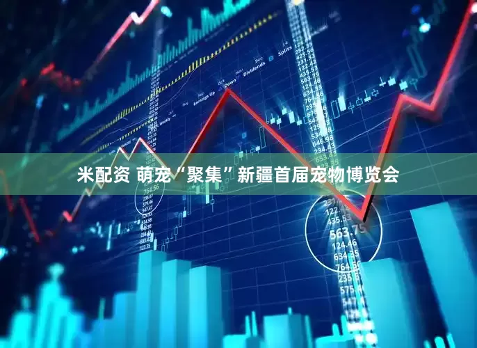 米配资 萌宠“聚集”新疆首届宠物博览会