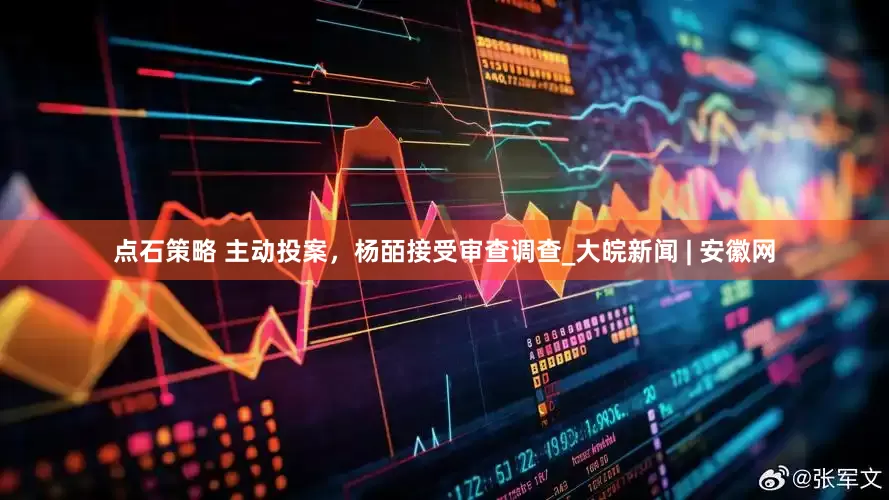 点石策略 主动投案，杨皕接受审查调查_大皖新闻 | 安徽网