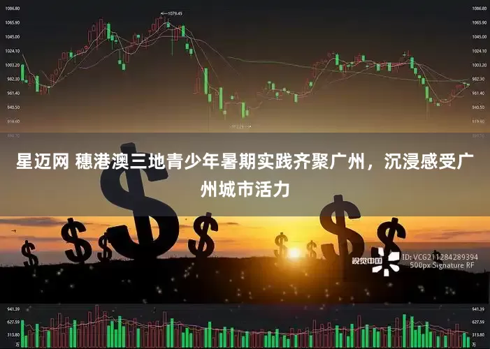 星迈网 穗港澳三地青少年暑期实践齐聚广州，沉浸感受广州城市活力