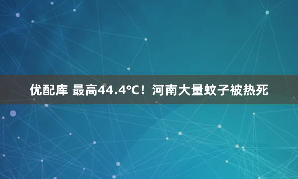 优配库 最高44.4℃！河南大量蚊子被热死