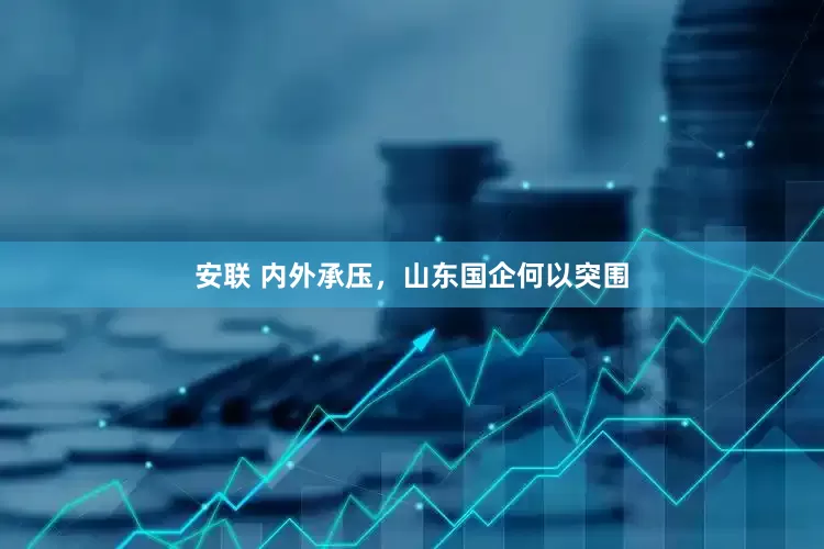 安联 内外承压，山东国企何以突围