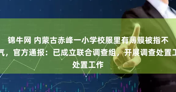 锦牛网 内蒙古赤峰一小学校服里有薄膜被指不透气，官方通报：已成立联合调查组，开展调查处置工作